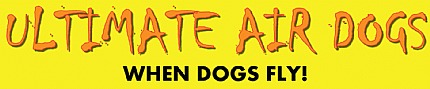 430 1 Uadlogo Onyellow(2) 430 1 Uadlogo Onyellow(2)