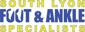 south lyon logo final png 300x113 south lyon logo final png 300x113