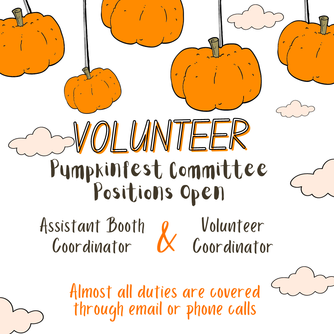 volunteer positions volunteer positions