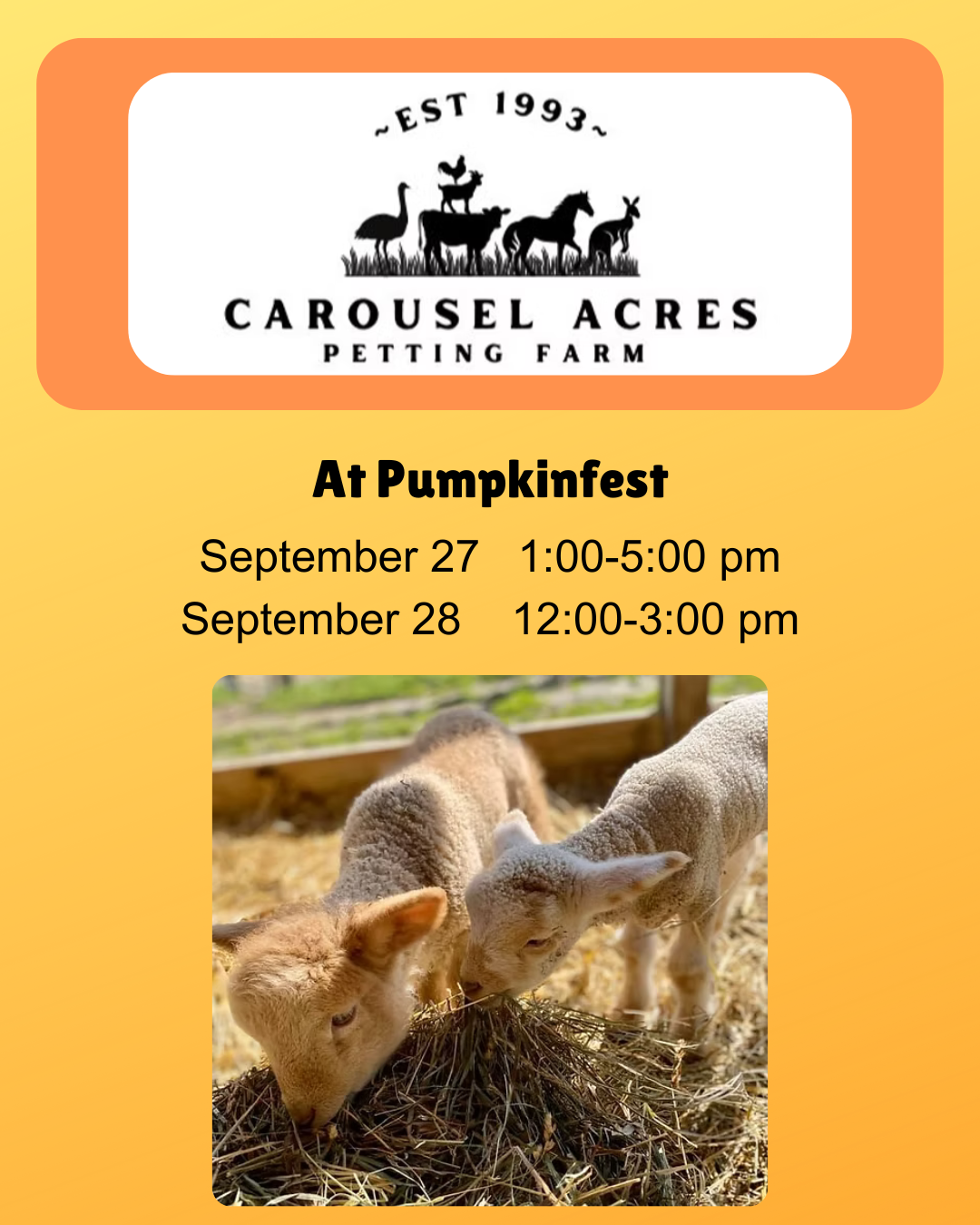 at pumpkinfest