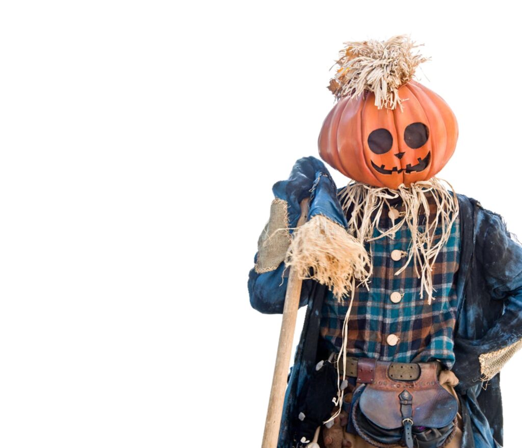 12x14 scarecrow guy
